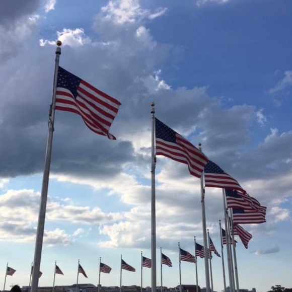 Meet your Posher, Sharon - Picture 1 of 1